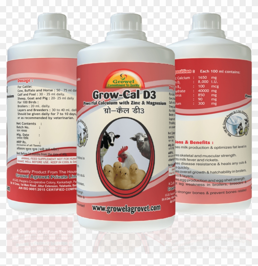 Calcium For Cattle, Calcium For Poultry, Veterinary - Poultry Crd E Coli Medicine Clipart