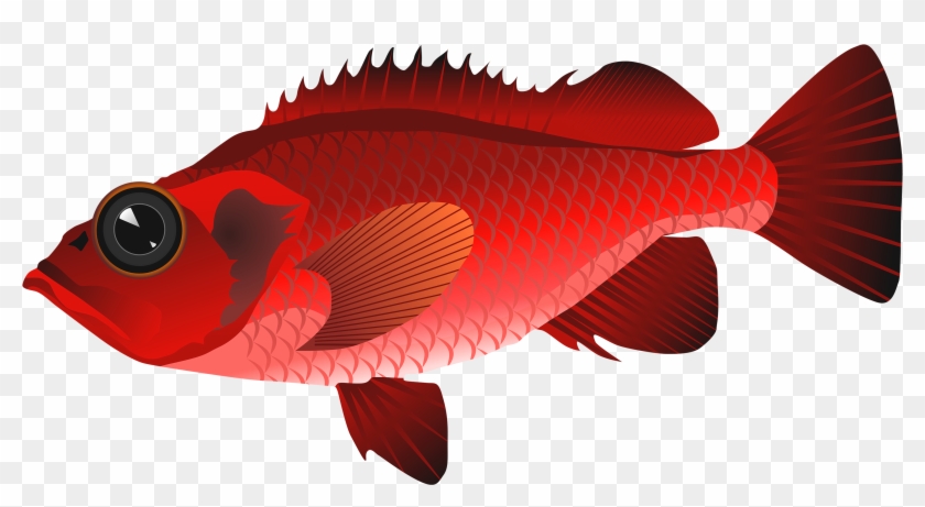 Red Fish Png Clipart - Clip Art Red Fish Transparent Png #948423