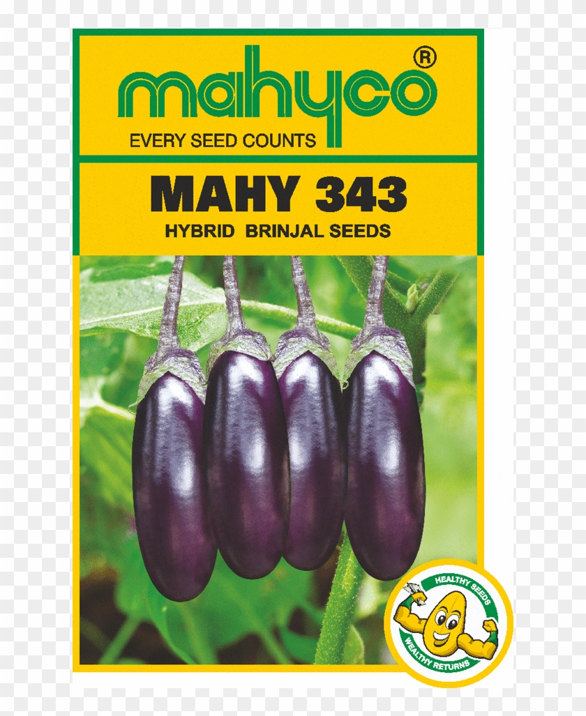 Brinjal Hybrid - Mahyco Every Seed Counts Clipart #948468