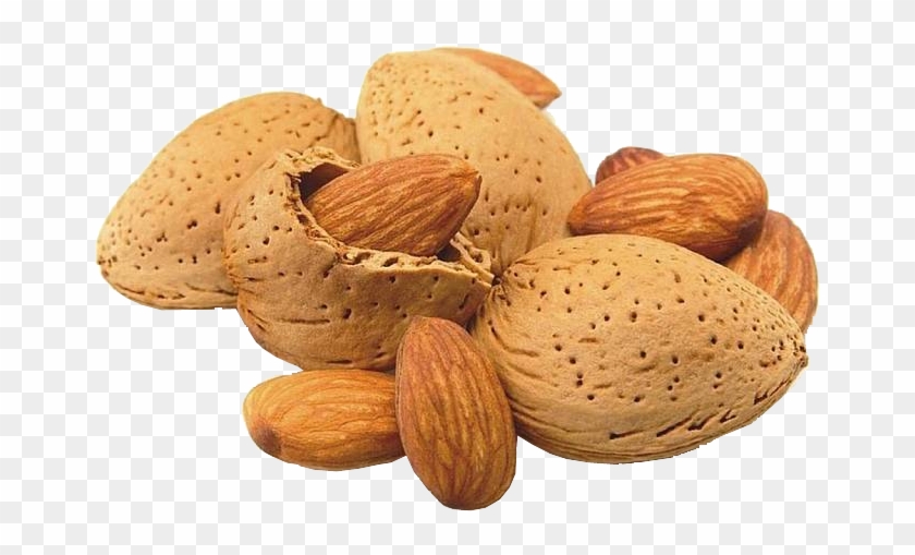 Badam Dasly - Kabuklu Badem Clipart