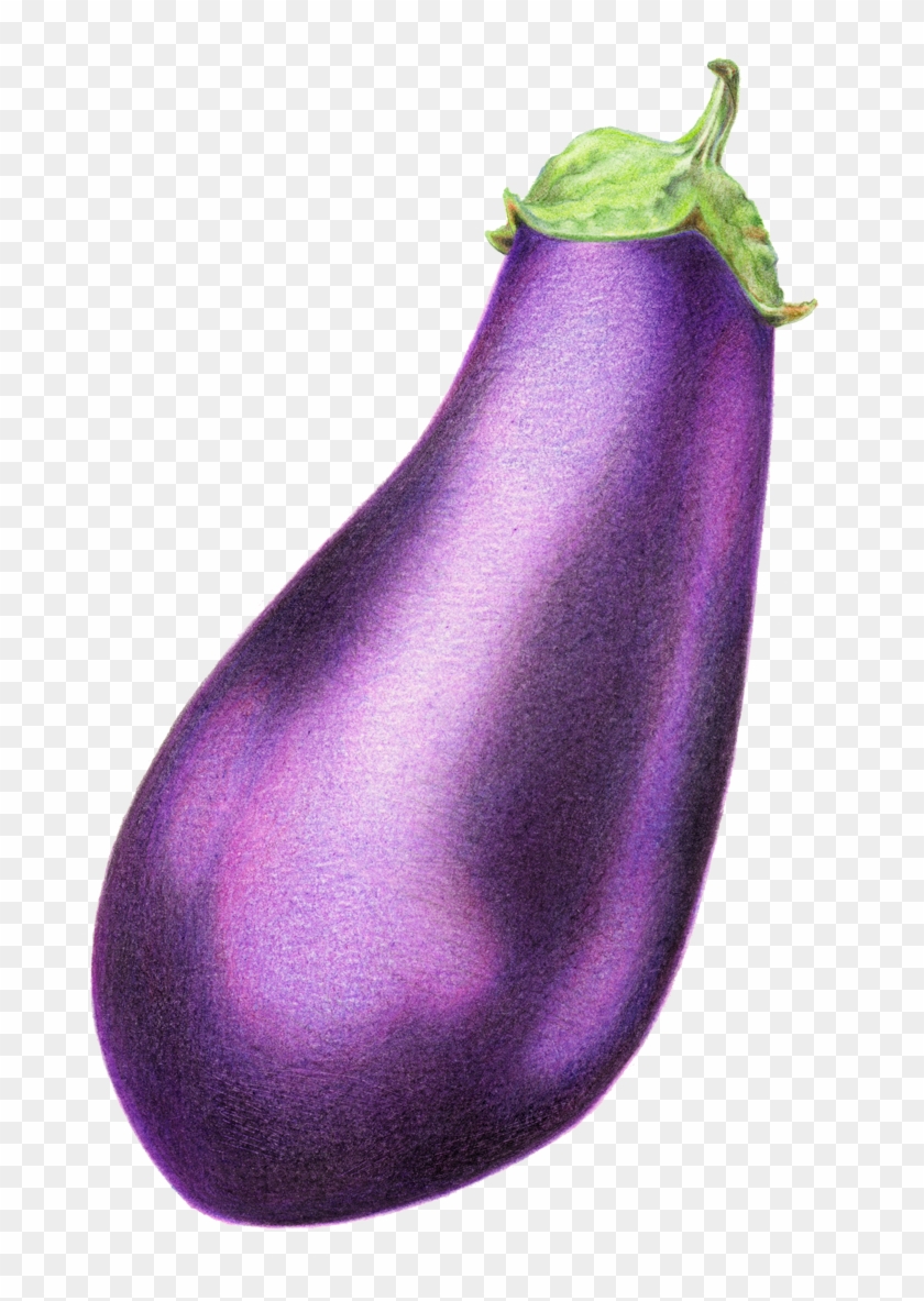 1200 X 1200 2 - Eggplant Clipart