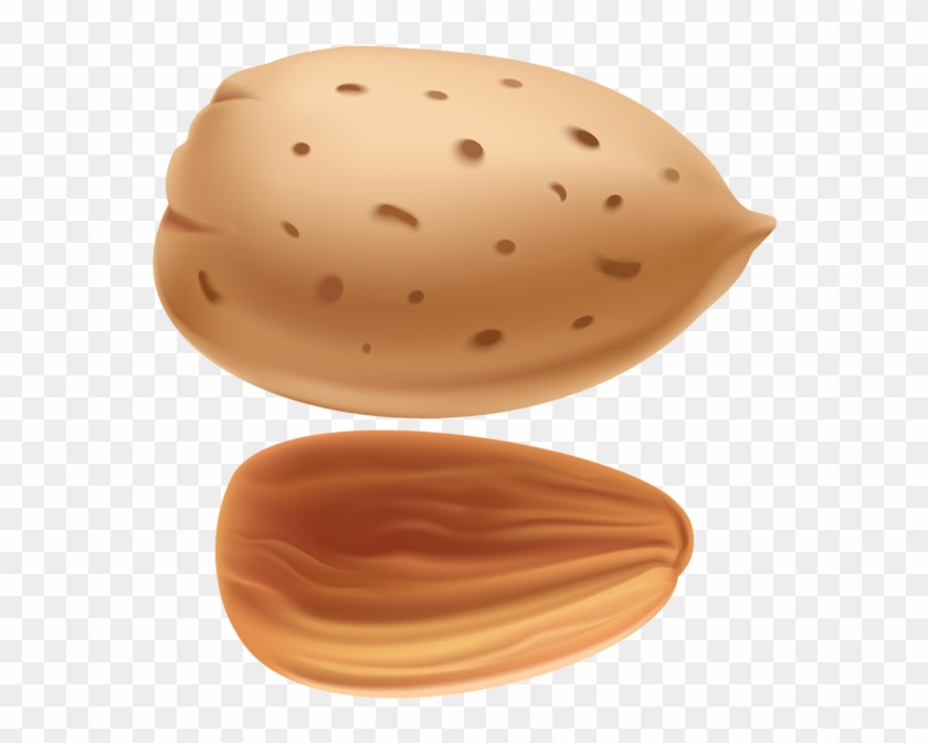 Almond Png Images Free Download Ⓒ - Almond Clipart Png Transparent Png