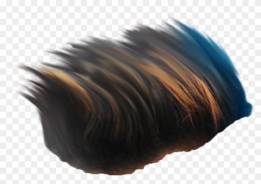 Hair Png ➤ - Lace Wig Clipart