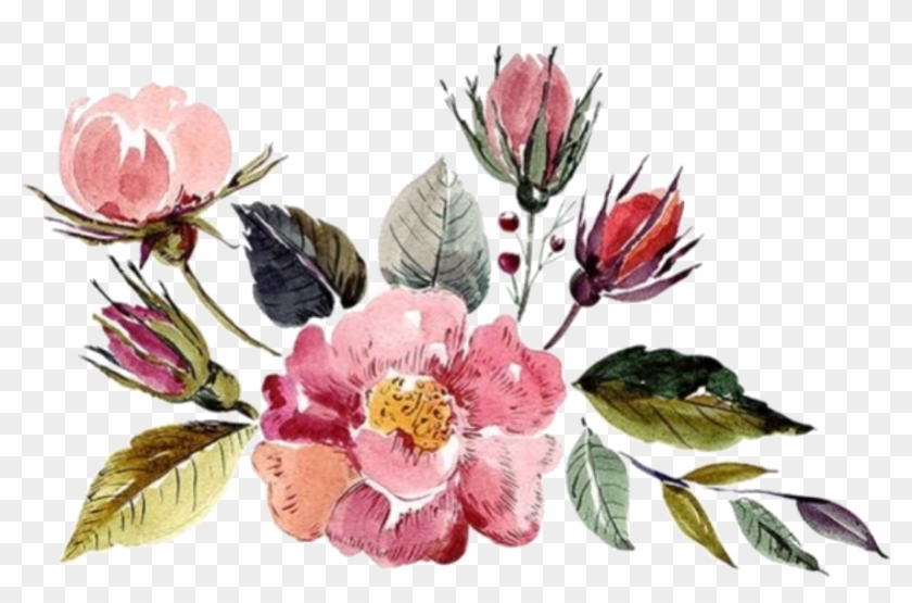 Flower Watercolor Watercolorflower Flowers Aesthetic Flower Clipart Pikpng Flower Watercolor Watercolorflower Flowers Aesthetic Flower Clipart Pikpng