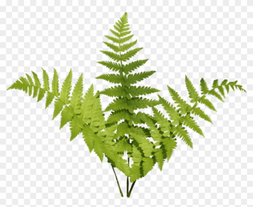 Tropical Flowers Stickers Transparent Aesthetic Cute - Transparent Tropical Plant Sticker Clipart