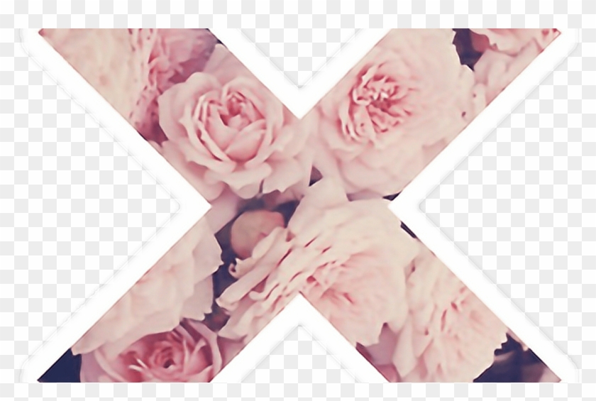 X Tumblr Sticker Flower Flowers - Background Pink Clipart #949722