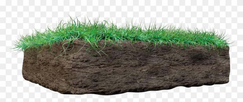 Grass On Mud Png Image - Lawn Clipart #951575