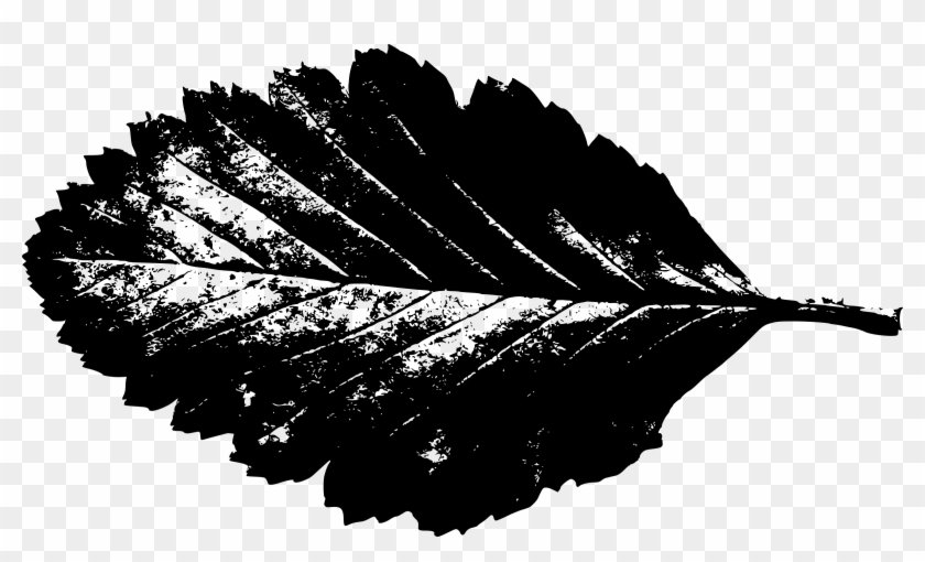 Free Vector Leaf Silhouette - Autumn Leaf Silhouette Clipart #952880