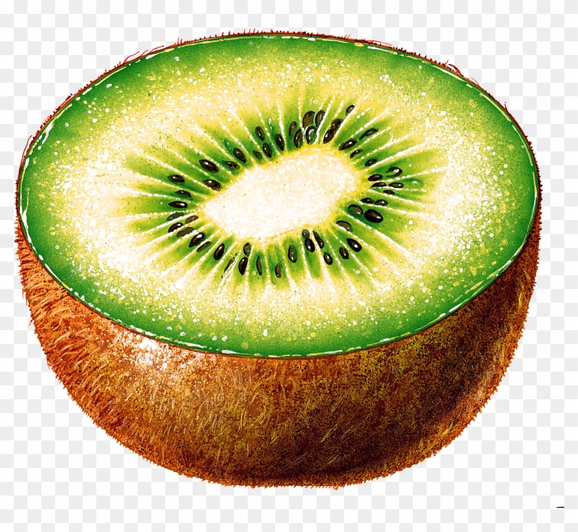 Kiwi - Kiwi Cut In Half Clipart #953192