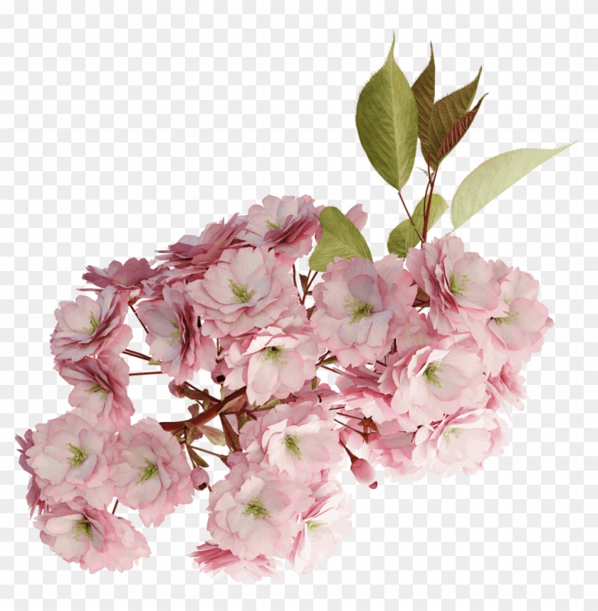 1024 X 1024 6 - Bouquet Clipart