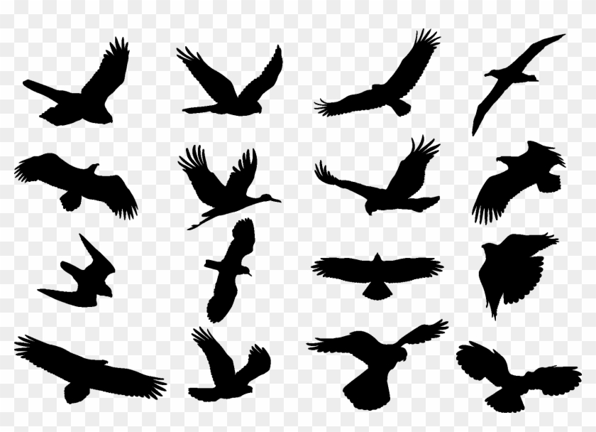 Bird Cdr , Png Download - Birds Silhouette Clipart #957202