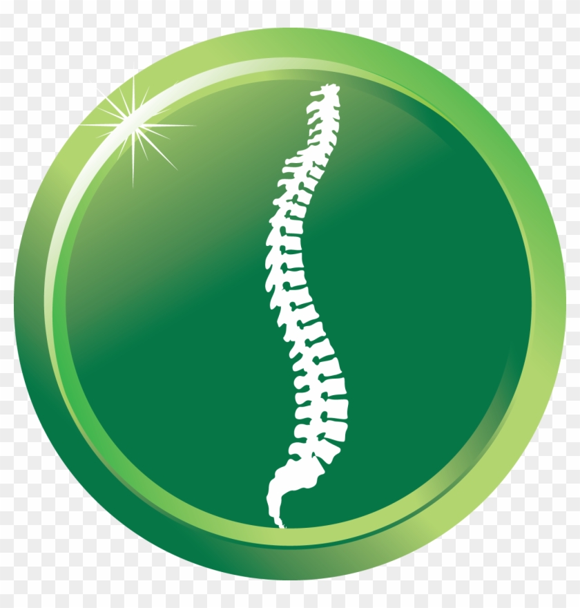 Chiropractic Spine Png - Spine Health Clipart #957391