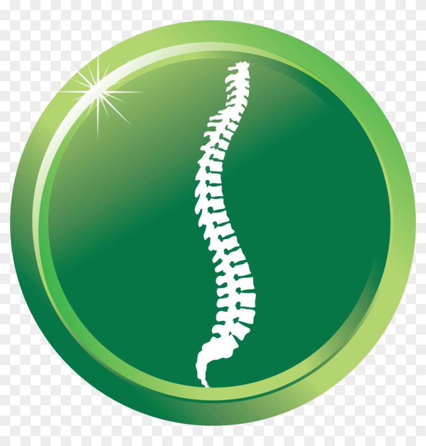 Chiropractic Spine Png - Spine Health Clipart