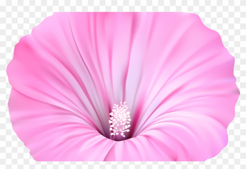 Hawaiian Flower Clip Art Bordor Transparent Background - Clip Art - Png Download
