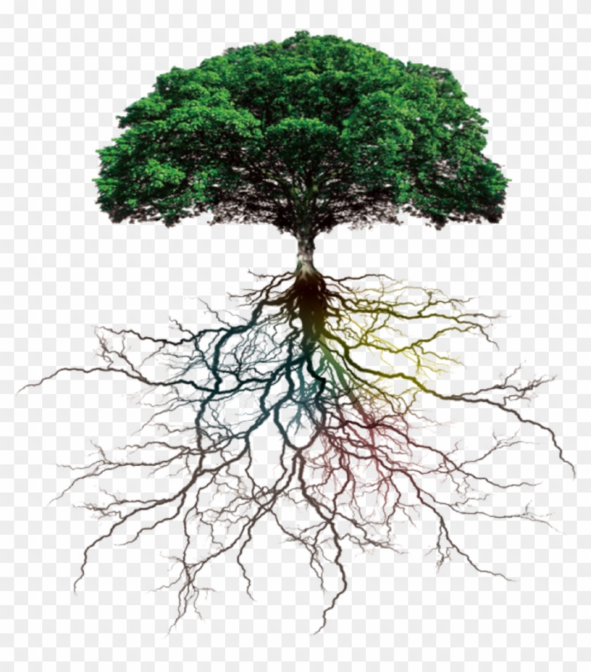 Ftestickers Sticker Clipart