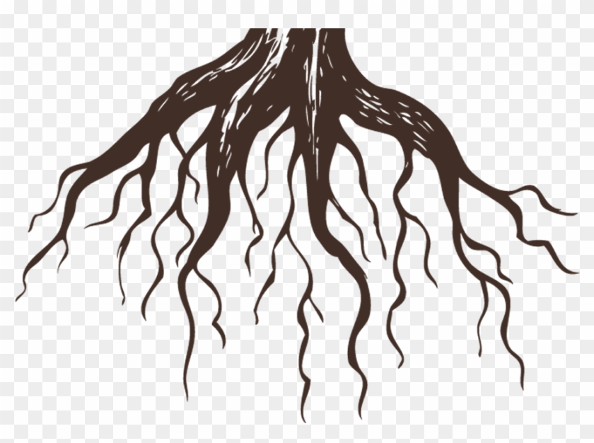 Roots Clinic Isla Mujeres - Tree With Roots Tattoos Clipart #959946