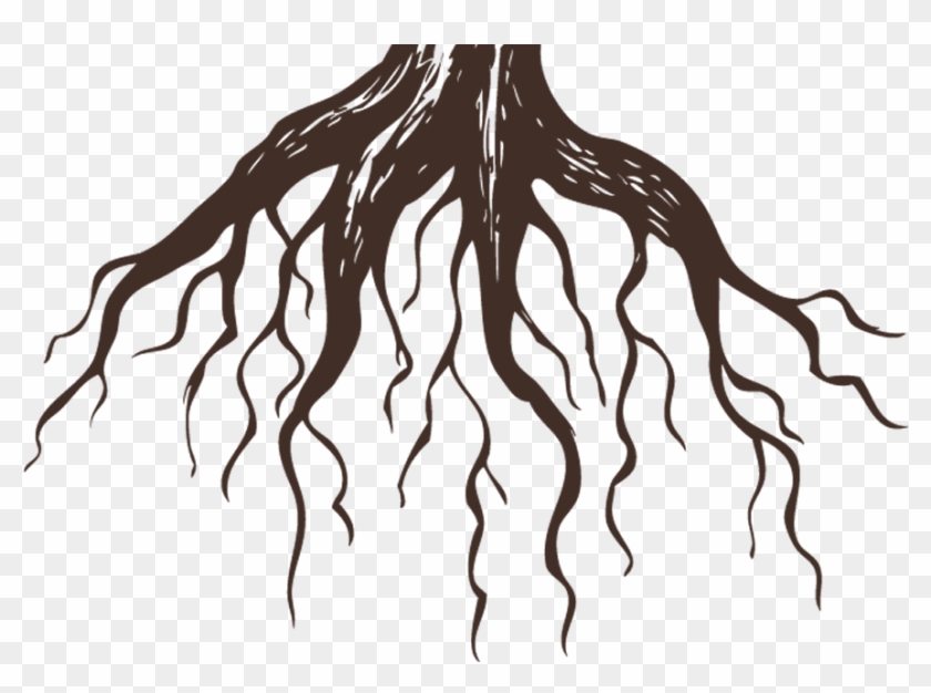 Roots Clinic Isla Mujeres - Tree With Roots Tattoos Clipart