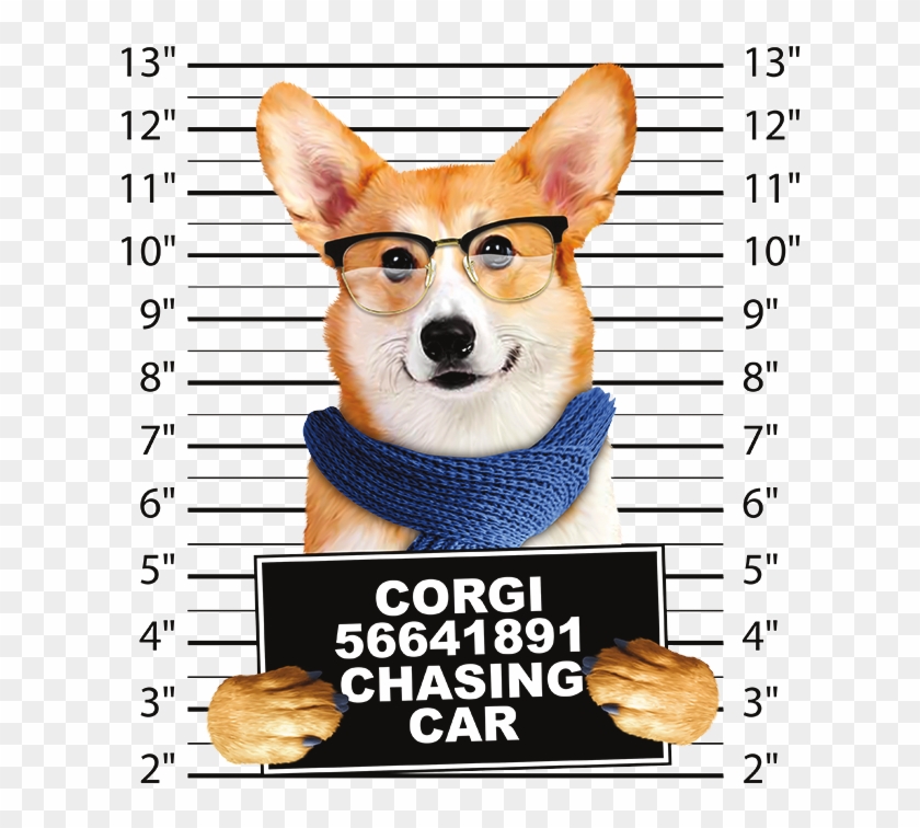 Corgi Mug Shot - Corgi Face Adult T-shirt The Mountain Clipart #960854