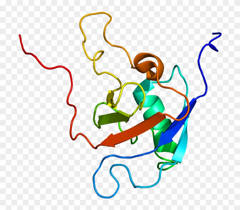 Protein Plxnb1 Pdb 2jph - Illustration Clipart