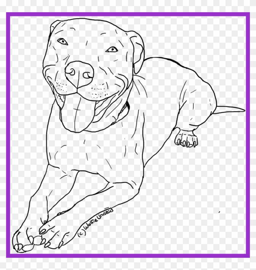Awesome American Pitbull Terrier Coloring Pages Womanmate - Coloring Pages Printable Pitbulls Clipart #963480