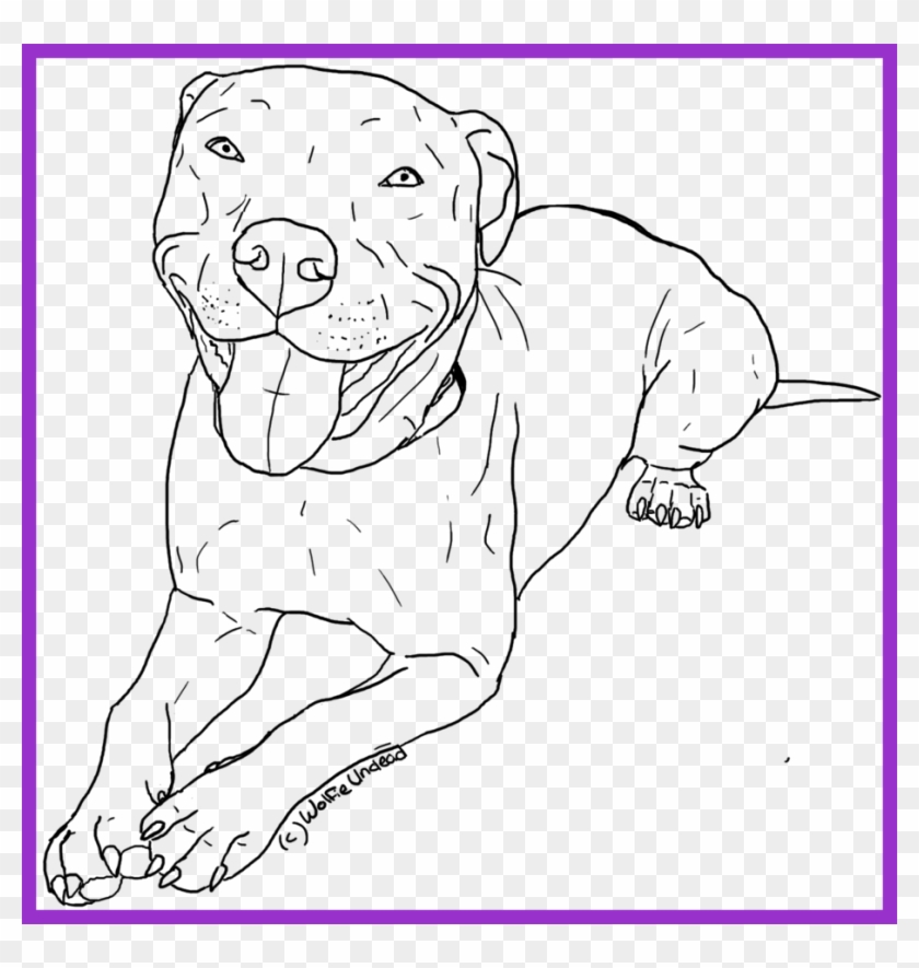 Awesome American Pitbull Terrier Coloring Pages Womanmate - Coloring Pages Printable Pitbulls Clipart