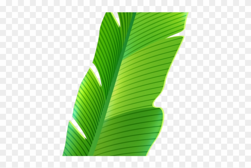 Leaves Clipart Green Tropical - Banana Leaf Png Transparent Png