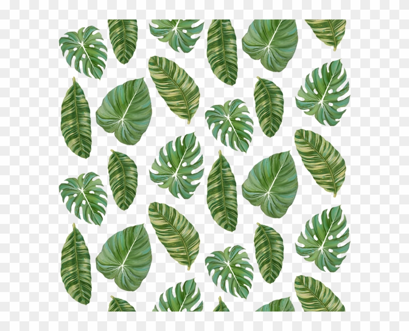 Banana Leaves Png - Tropical Leaf Pattern Transparent Clipart