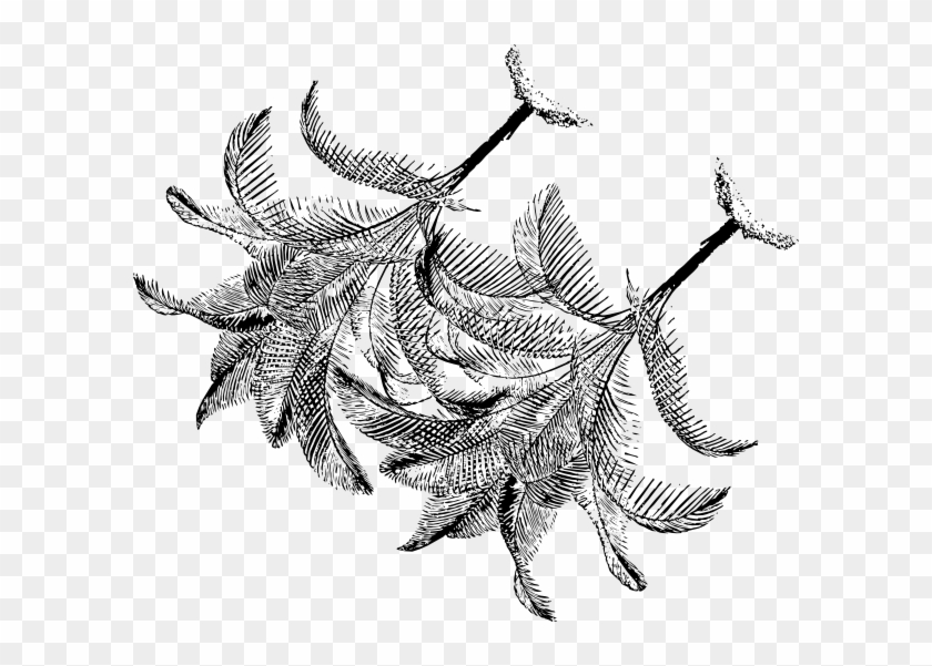 Corner Palm Leaves Motif Clip Art - Palm Vector - Png Download