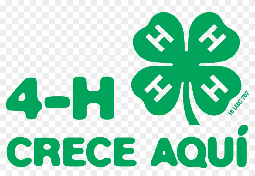 4 H Grows Here C - 4 H Clover Clipart #965031