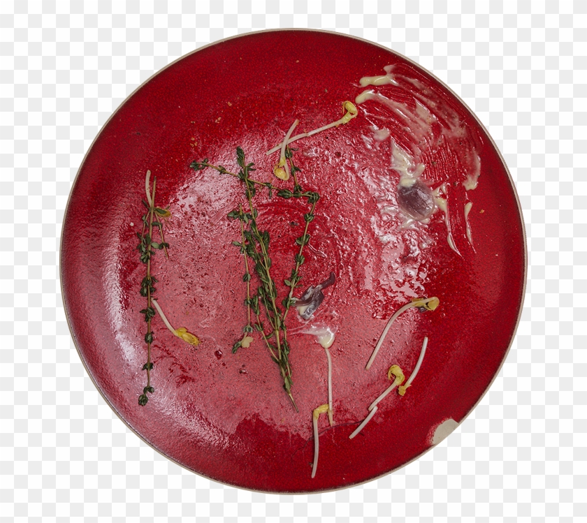 Monika Balu - Circle Clipart