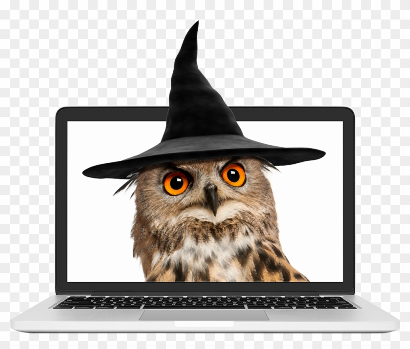 Owl Wearing A Wizard Hat - Batch Function Clipart