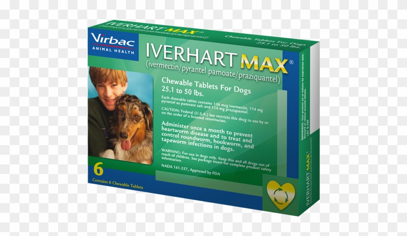 Dog - Multimedia Software Clipart