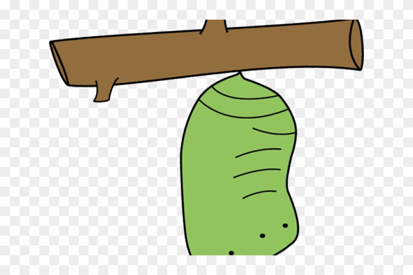 Chrysalis Cliparts - Clip Art - Png Download #967590