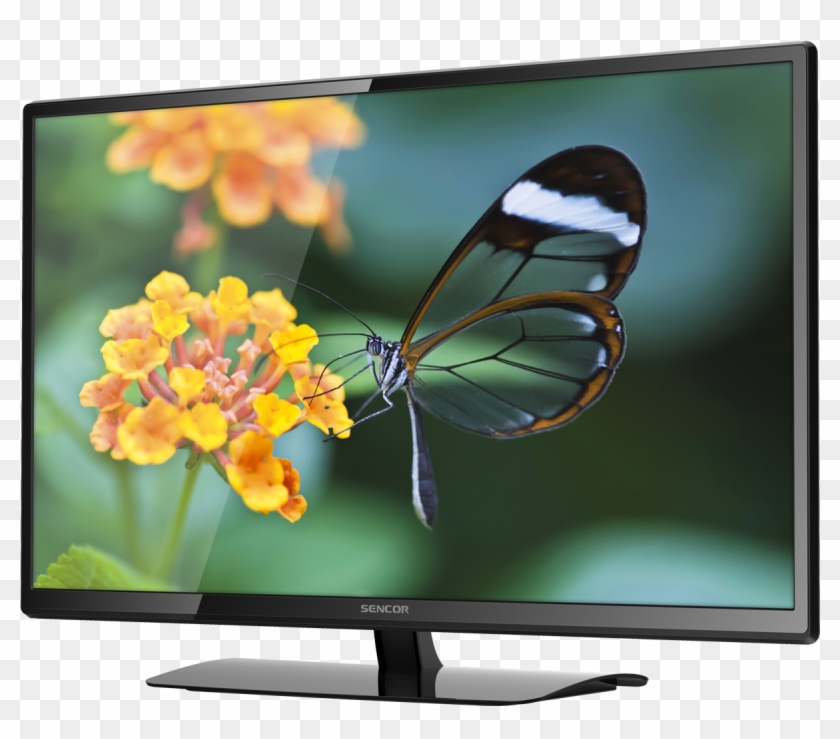 Full Hd Led Television - Television Hd Clipart #968396
