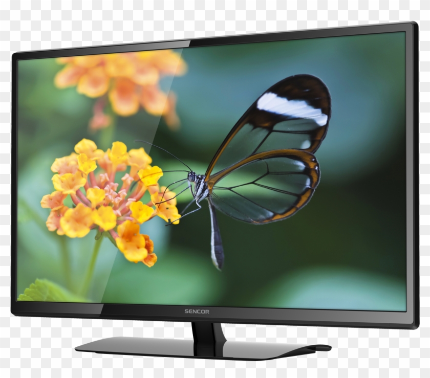 Full Hd Led Television - Television Hd Clipart