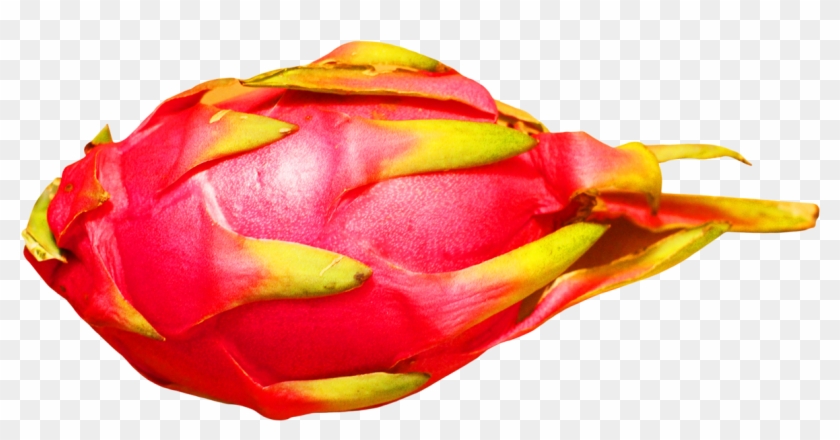 Dragon Fruit - Dragon Fruit Transparent Background Clipart