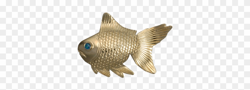 Pomacentridae Clipart