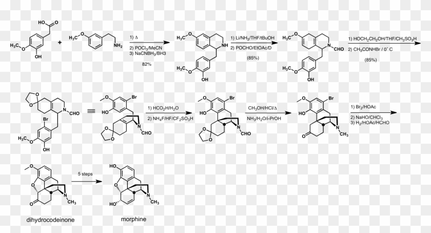 Rice Morphine Synthesis - Biosynthesis Of Morphine Alkaloids Clipart