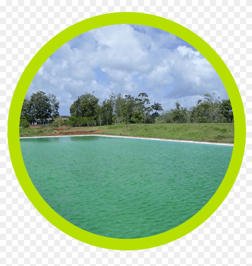 Piscina Verde Circle Border - Stredná Zdravotnícka Škola Nitra Clipart