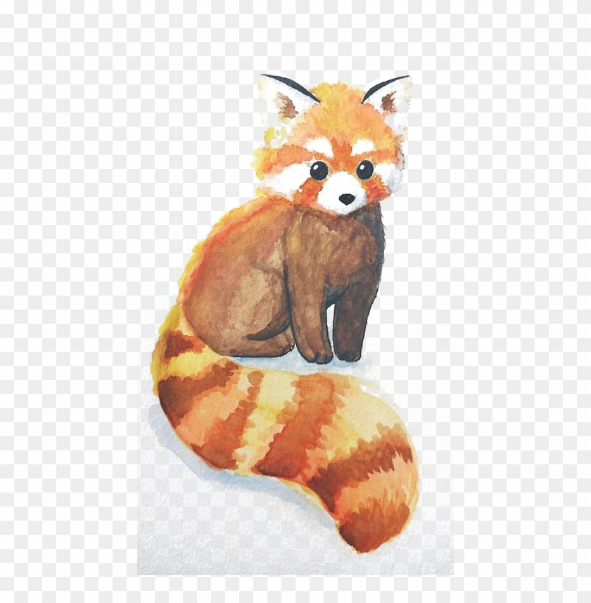 Svg Library Download Red Panda The Giant Bear Raccoon - Easy Animal Watercolour Paintings Clipart #970325
