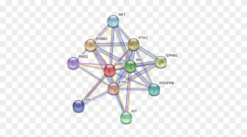 Circle Clipart #970494