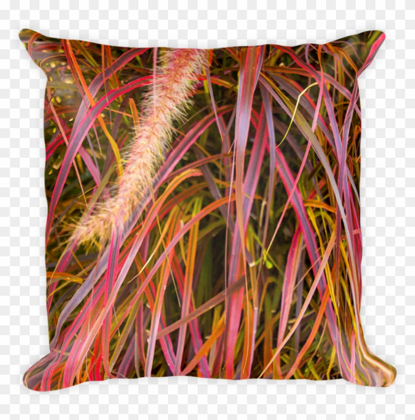 Free Png Download Fountain Grass Png Images Background - Cushion Clipart #970619