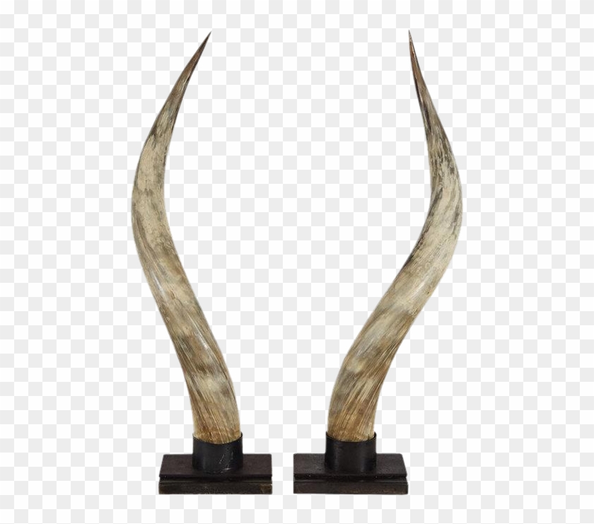 Excellent Steer Horns On Stands A Pair - Yak Horn On A Black Stand Clipart #970743