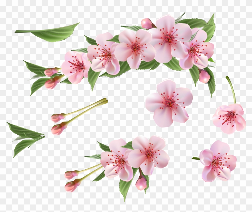 Spring Pink Flowers Png Clipart