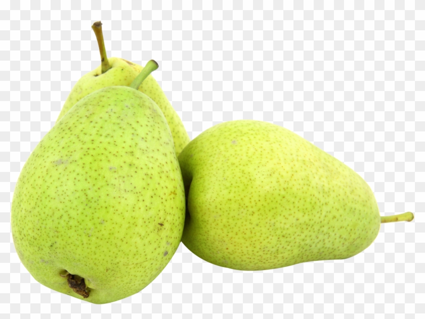 1484 X 1072 - Pears Png Clipart #971843