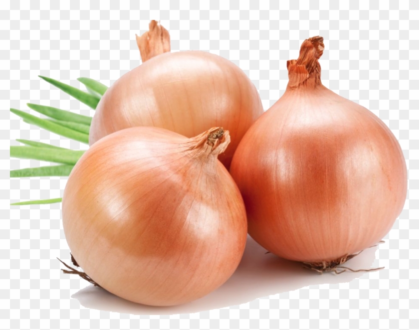 Onion Png File - Onion Png Clipart