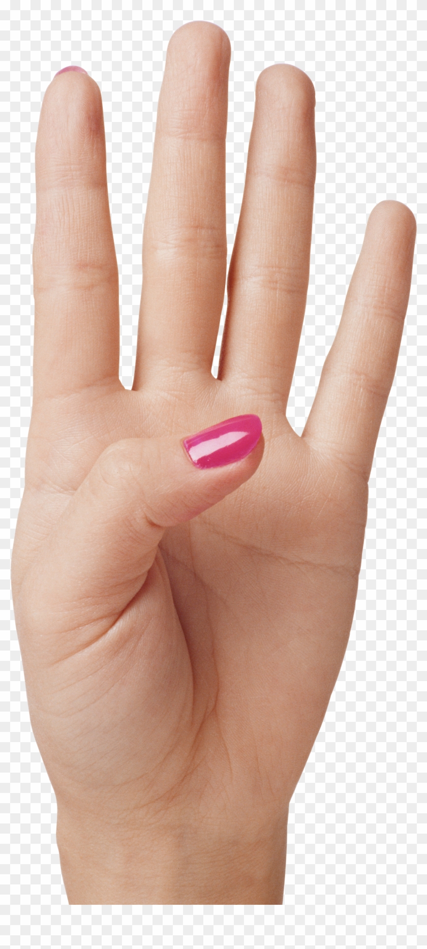 Hand Showing Four Fingers Png Clipart Image - Hand Showing Four Fingers Transparent Png #975627