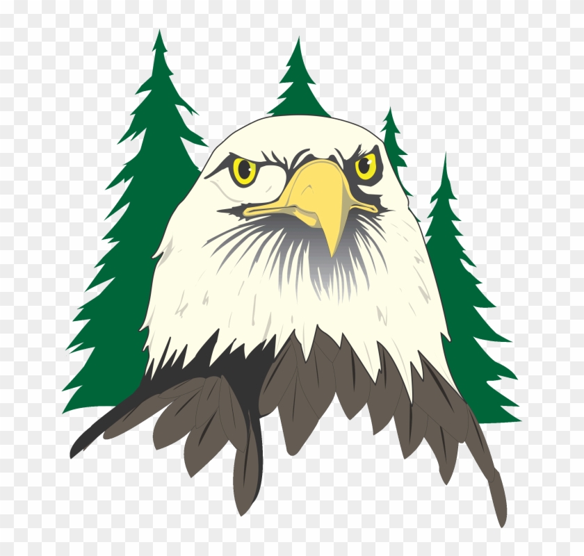 Eagle - Eagle Head Clipart - Png Download