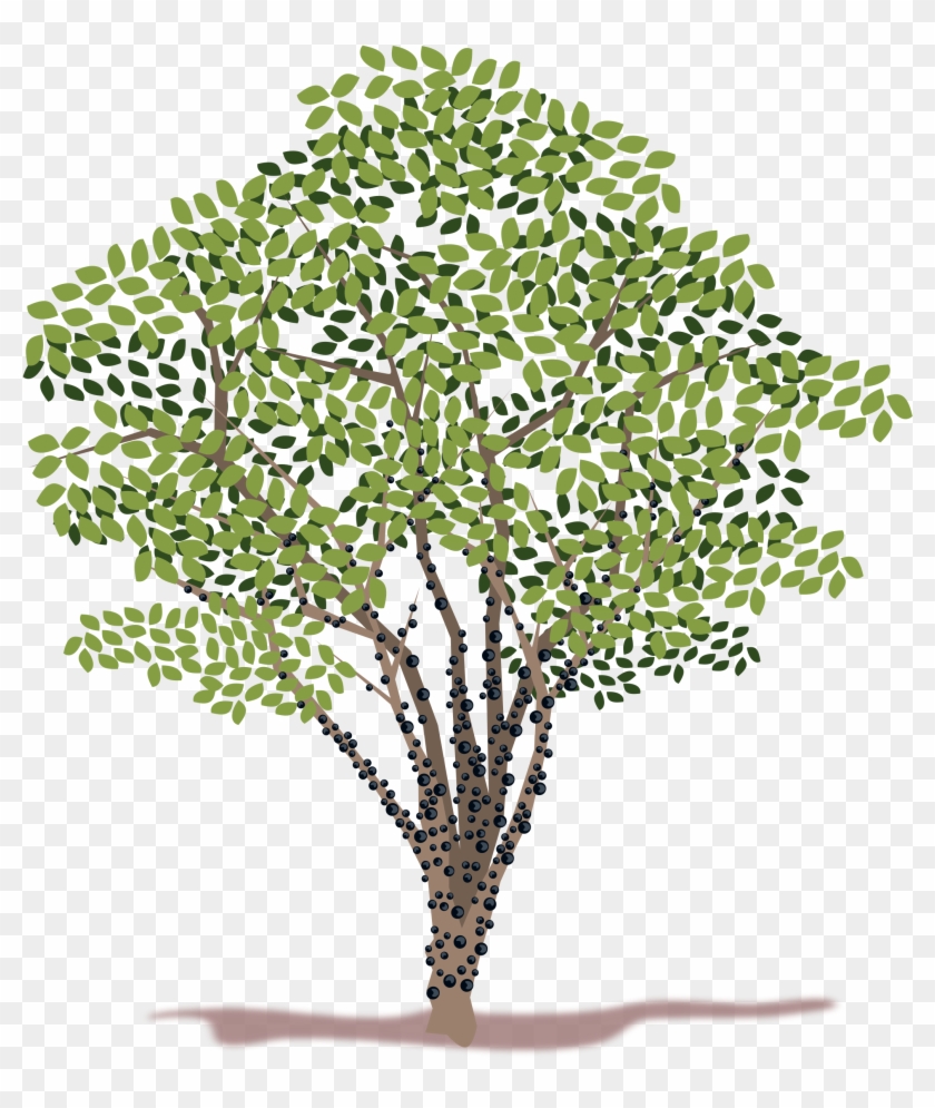 Spring Tree Vector Clipart - Png Download #977249