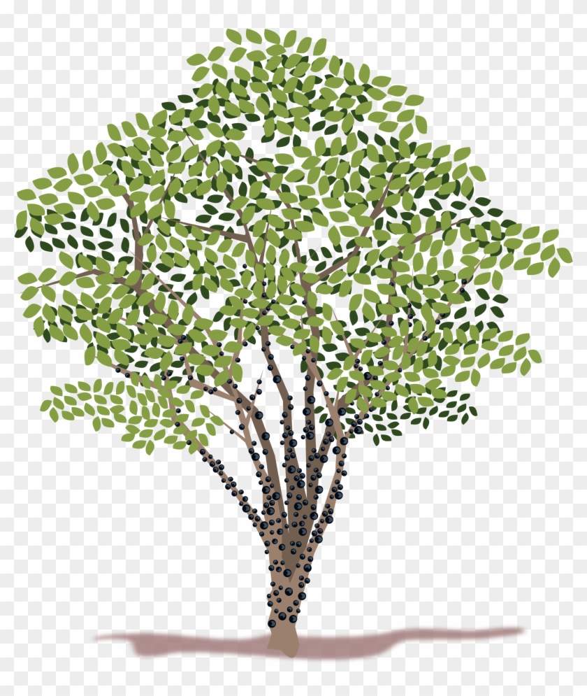 Spring Tree Vector Clipart - Png Download